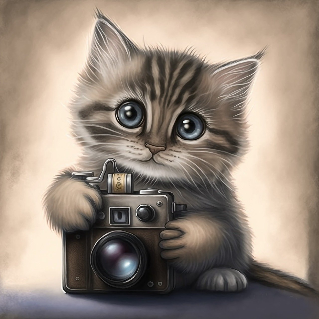 Where do you do Pet Portraits?